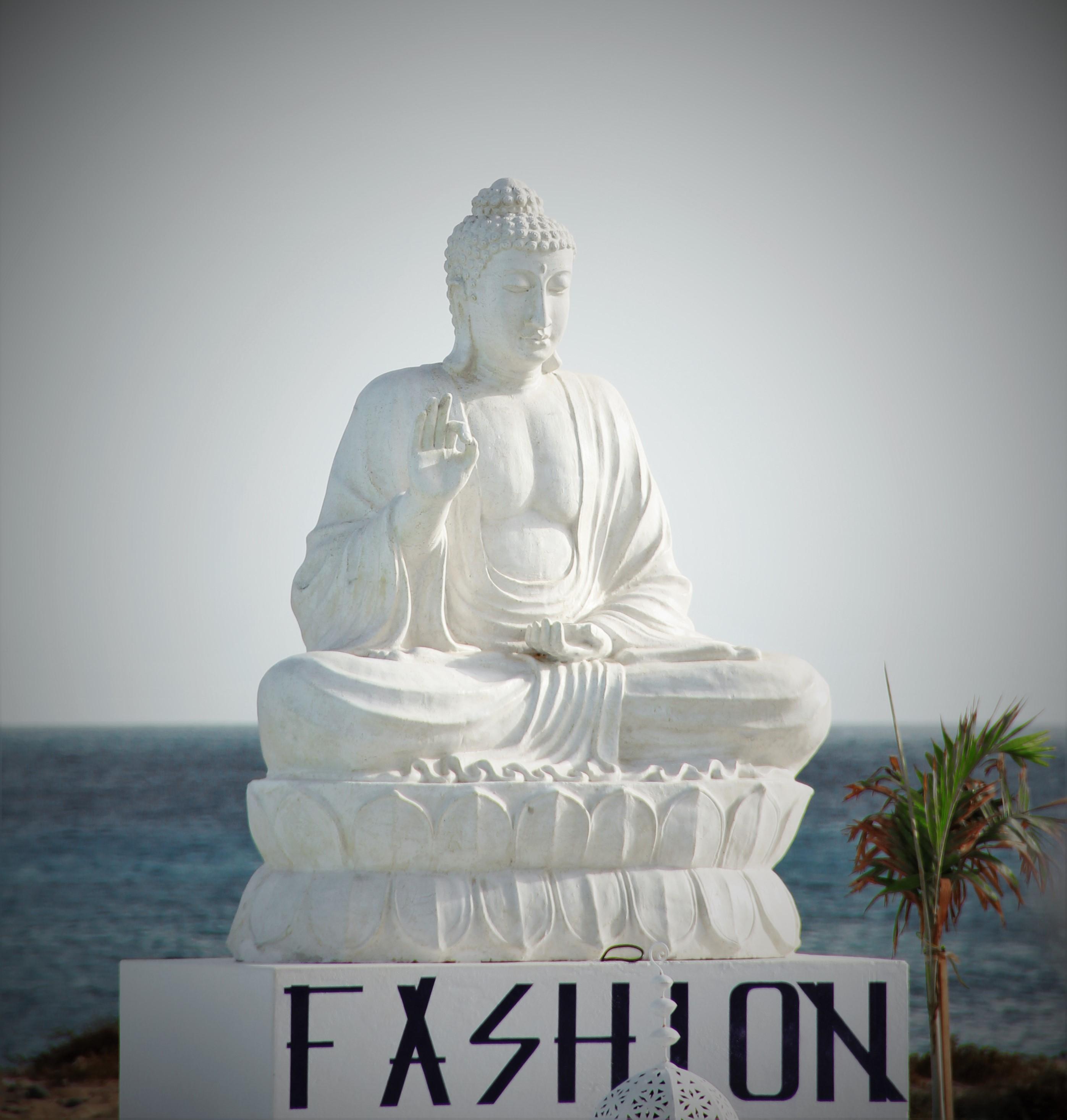 Hotel Livvo Budha Beach Santa Maria Esterno foto
